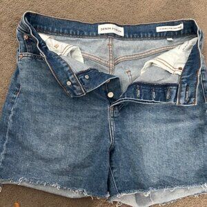 Denim Forum  Arlo Hi Mid-Thigh Jean Shorts sz 32